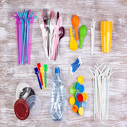 Examples of Single-Use Plastics